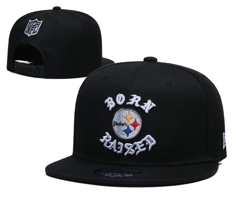 2025 NFL Pittsburgh Steelers Hat YS20254111->mlb hats->Sports Caps